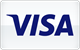 Visa płatność